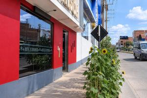 a sunflower growing on the side of a building at Hotel Zackenbarsch in Huánuco