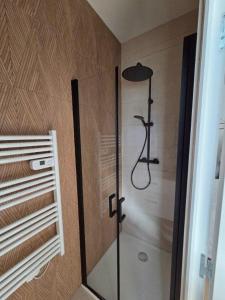 a shower with a glass door in a bathroom at Bleu d'Aubrac Climatisé in Marvejols