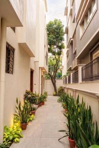 a walkway between two buildings with potted plants at Astoria House in New Town