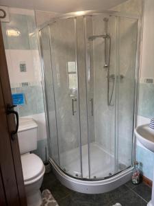 a bathroom with a shower with a toilet and a sink at Tregatherall Barn in Boscastle +11 photos