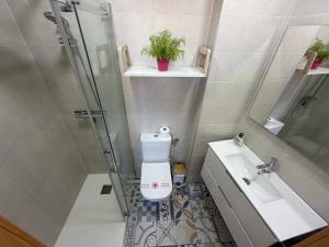 a bathroom with a toilet and a sink and a shower at Ático BELLAVISTA -4 habitaciones dobles 2 baños completos y visita a bodega- in Tudela
