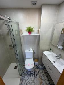 a bathroom with a shower and a toilet and a sink at Ático BELLAVISTA -4 habitaciones dobles 2 baños completos y visita a bodega- in Tudela