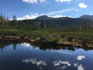 a reflection of the sky in the water of a lake at Garconniere Pachler in Gosau