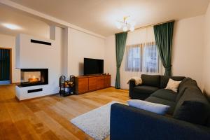 a living room with a couch and a fireplace at Lucy Villa in Băile Tuşnad