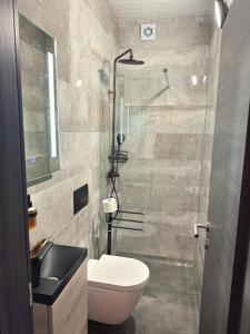 a bathroom with a toilet and a glass shower at Paradise Villa Lopar in Lopar +44 photos