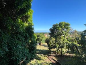 a field with trees and the ocean in the background at La maison jaune in Nosy Be +5 photos