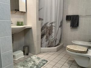 a bathroom with a shower and a toilet and a sink at Zur Kapellenwiese in Oberthal +31 photos