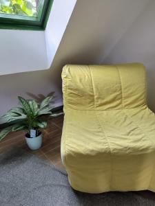 a yellow couch in a room with a plant at Mackó Kuckó Verőce in Kismaros