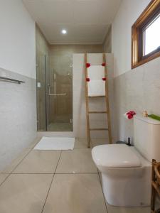 a bathroom with a toilet and a shower at Maison Ed-Elle in La Digue +18 photos