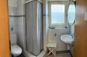 a bathroom with a toilet a sink and a shower at B&B Alpenblick in Erlinsbach +29 photos