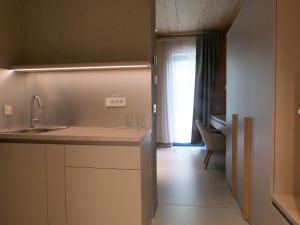 a kitchen with a sink and a counter top at Casa Brutarului in Timişoara +64 photos