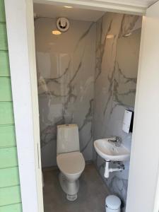 a bathroom with a toilet and a sink at Teemeistri Camp in Tõrva