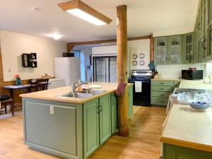 eine Küche mit grünen Schränken und einem Spülbecken darin in der Unterkunft Dragon's Lodge in Gabriola