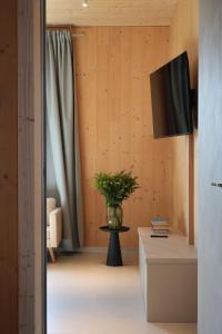 a living room with a television and a vase with a plant at Casa Brutarului in Timişoara