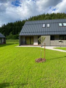 a house with a tree in the middle of a yard at Apartmán Vališka in Horní Bečva