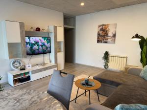 a living room with a couch and a tv at Hugo s home, apartman blizu bazena i bolnice in Krapinske Toplice