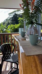 a table with two cups and a potted plant on it at Bungalow Omati in Tahateao