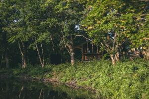 a cabin in the woods next to a river at Earthboat Nasu - Glamping Cabin with Private Wood-Fired Sauna & Onsen, Pet-Friendly & Cage-Free in Nasu