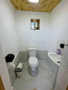 a bathroom with a toilet and a sink at Sky yurt camp in Këk-Say