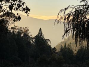 a view of a mountain range with trees in the foreground at Cradle Gateway Chalets in Moina