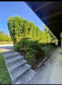 a set of concrete stairs with trees in the background at Camp Rooms in Jajce