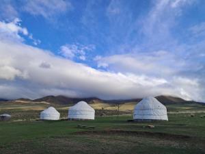 three domes in a field with mountains in the background at Sky yurt camp in Këk-Say