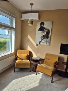 a living room with two chairs and a window at Maison Colombe, met airco in Oudesluis