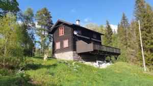 a house on a hill with a dog in front of it at Åreholtet log cabin, Norway in Kleppo