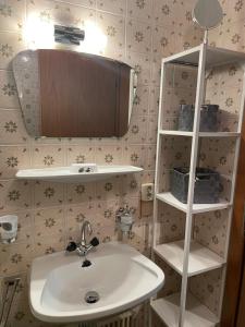 a bathroom with a sink and a mirror and a shelf at Ferienwohnung Wieser in Sankt Jakob in Haus +68 photos