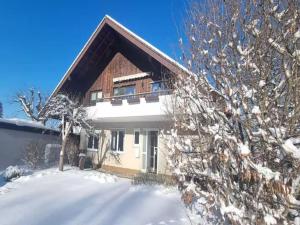a house in the snow with a tree at Petit Fleur in Marktleuthen