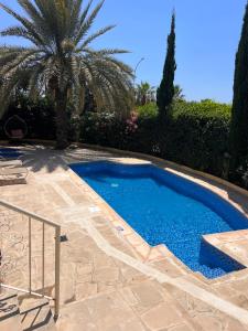 a swimming pool in a yard with a palm tree at Villa Neyla Four bedroom Coral Bay Beach front in Coral Bay