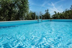 a large blue swimming pool with trees in the background at Il loggiato del chianti in Cavriglia