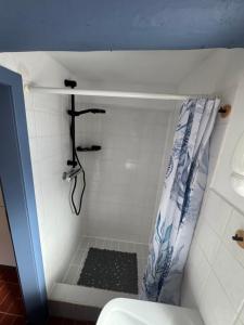 a small bathroom with a shower with a toilet at Dat Lütte Huus - Ferienhaus nahe Greetsiel in Krummhörn +9 photos