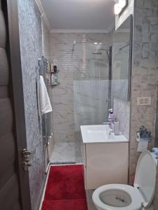 a bathroom with a toilet and a sink and a shower at Apartament Antonia&Alex in Brad