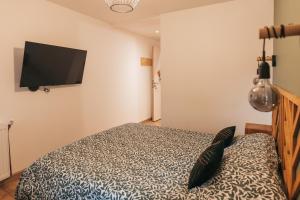 a bedroom with a bed and a flat screen tv at Chez Gabriel et Sophie in Pérouges