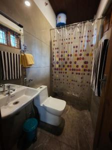 a bathroom with a toilet and a sink and a shower at Pine ridge homestay kuttikanam in Pīrmed