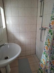 a bathroom with a sink and a shower at Drenthse Klaver in Borger in Borger +9 photos