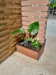 a planter with plants in it next to a wooden wall at Leni in Ierissos