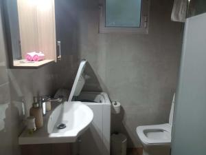 a small bathroom with a sink and a toilet at Alexia's House in Leptokarya +6 photos