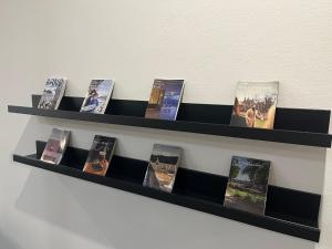 a shelf filled with books on a wall at Penzion Luna in Brno