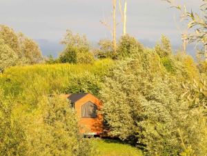 a small house in the middle of a field of trees at Ezy House by Tiny Away in Ézy-sur-Eure