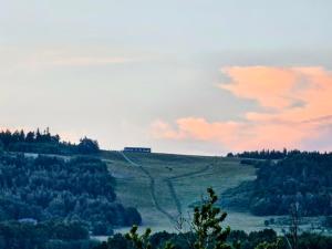 a house on top of a hill with trees at Szybowcowa View Apartment in Jelenia Góra