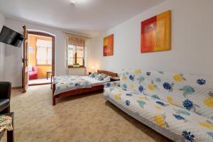 a living room with a couch and a bed at Apartamenty i Pokoje w centrum Karpacza in Karpacz