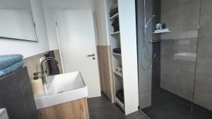 a bathroom with a sink and a shower at Living in Rheine in Rheine