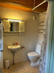 a bathroom with a toilet and a sink at Mariehem Logi in Sjöbo +30 photos