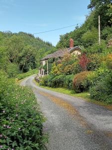 a road leading to a house on a mountain at 'Morris' the shepherd's hut ,woodland hot tub available, separate fee in Carmarthen