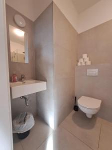 a bathroom with a white toilet and a sink at Krems am Campus in Krems an der Donau +34 photos