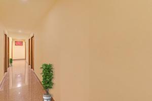 Gallery image of Hotel O MDA INN SGPGI in Bijnaur