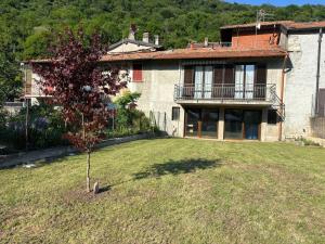 a small tree in the yard of a house at Diamante - relax nature , WiFi in Arcumeggia