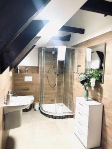 a bathroom with a shower and a sink at Apartmány Haberschie in Řehlovice +100 photos